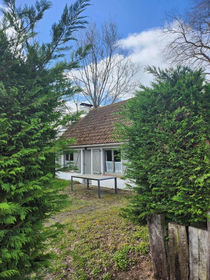 코크시데 Maison Sunpark Oostduinkerk 550 빌라 외부 사진